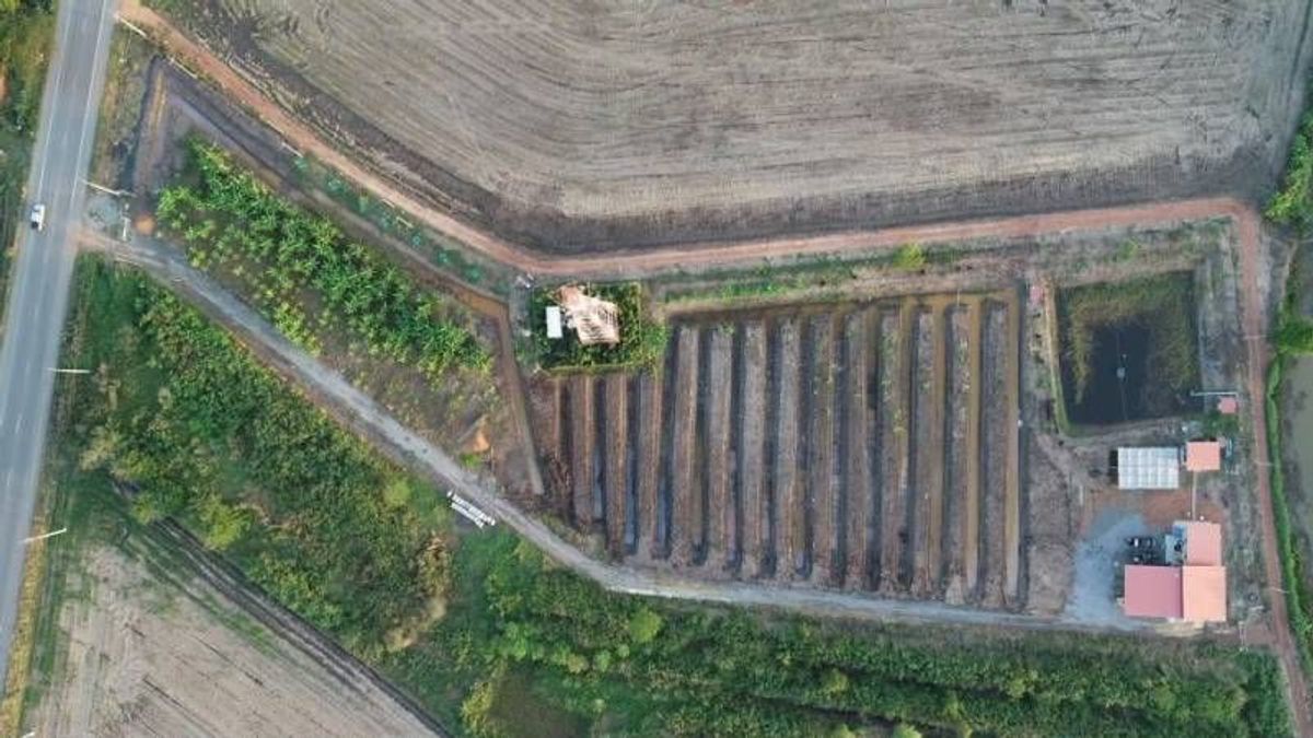 Land for sale of 9 rai 1 ngan 28, Rangwa, 3200 Road, Chachoengsao-Bang Nam Priao With durian garden – รูปที่ 4