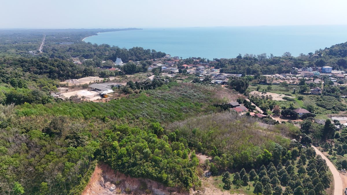 ขายที่ดินระยอง 20 ไร่ 184 ตร.ว. แถมฟรี 5 ไร่ ฮวงจุ้ยดี หน้าติดทะเล หลังติดภูเขา เหมาะสำหรับการลงทุน – รูปที่ 3