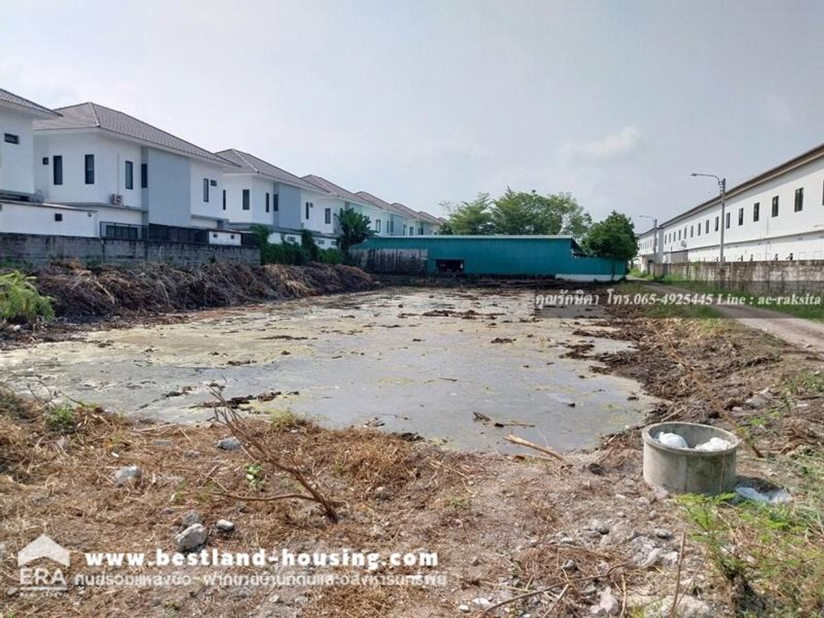 Land for 1 rai, Thai Raman, Khlong Sam Wa, Pak Soi is a CJ Mor shop. There are 2 plots in the same alley. – รูปที่ 4