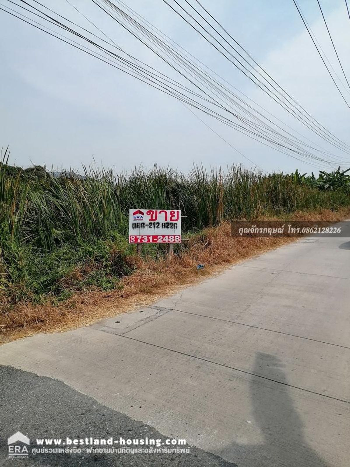 100 square meters of land for sale. – รูปที่ 2