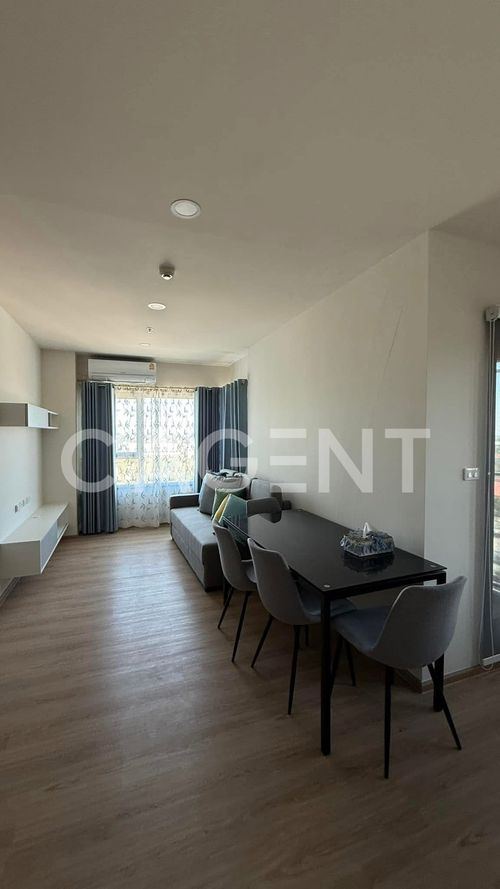 Rent a condo 