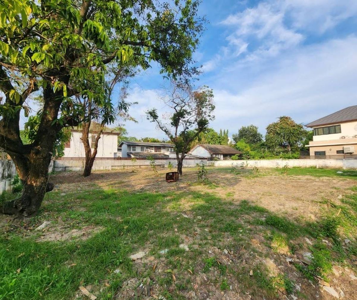 ที่ดิน ซอย ลาดพร้าว 42 / (ขาย), Land Soi Lat Phrao 42 / (FOR SALE) TPM203