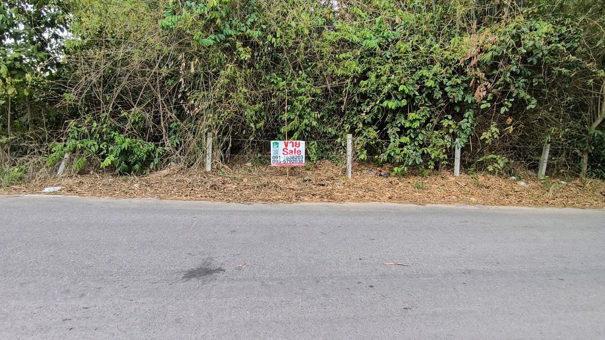 Land for sale Near Global House, Rayong, on the road 36 – รูปที่ 4