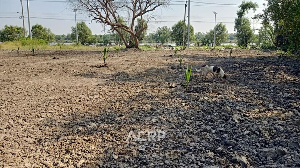 Land for sale at Soi Pracha Uthit 90, large size 18 rai !! Filling and ready to sell in a great location !! – รูปที่ 3