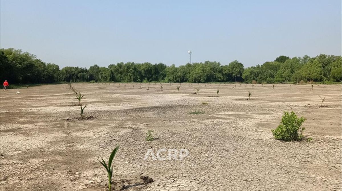 Land for sale at Soi Pracha Uthit 90, large size 18 rai !! Filling and ready to sell in a great location !! – รูปที่ 4