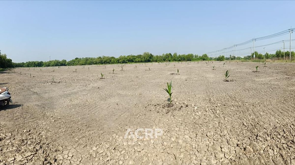 Land for sale at Soi Pracha Uthit 90, large size 18 rai !! Filling and ready to sell in a great location !! – รูปที่ 2