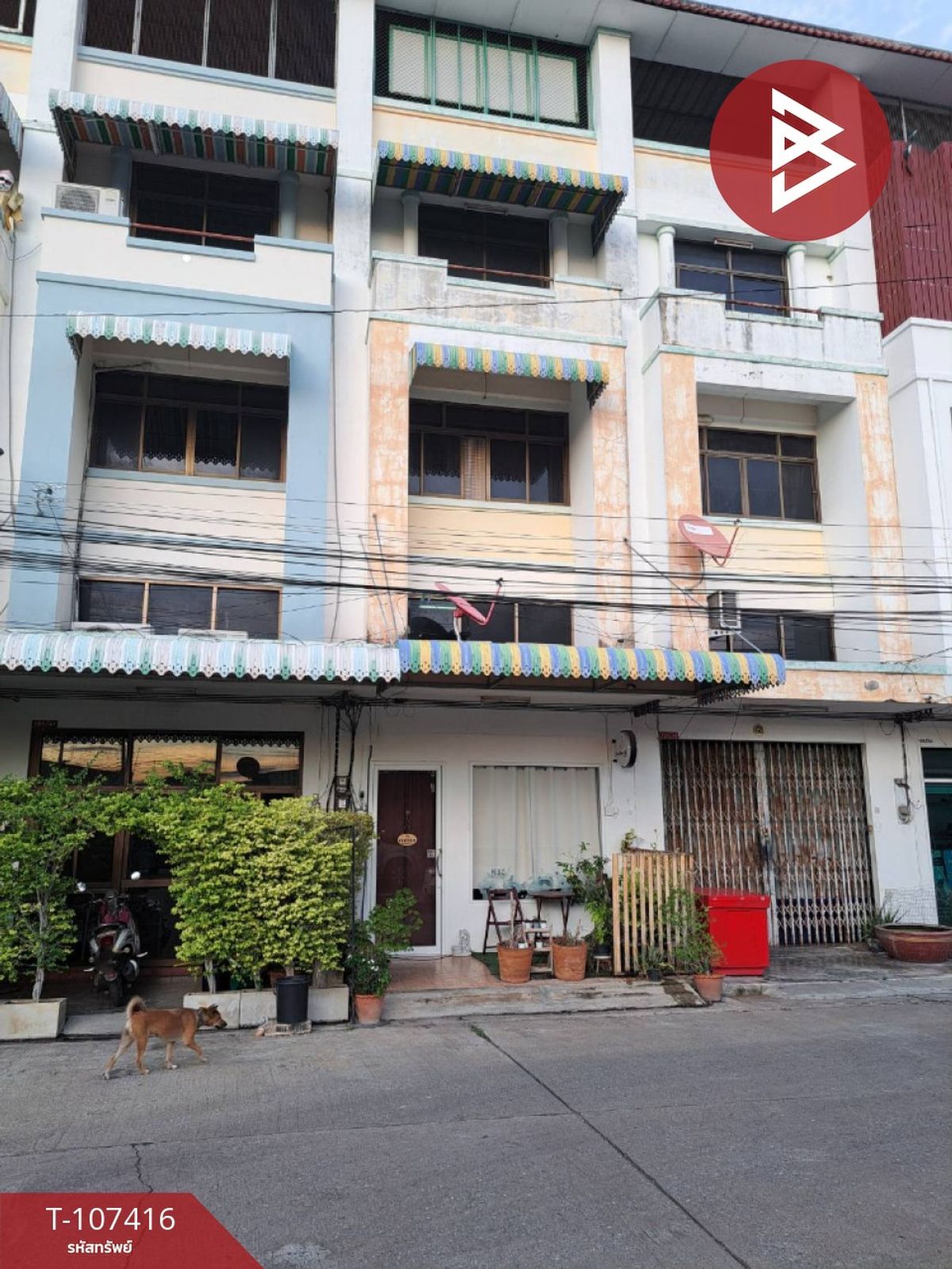 ขายอาคารพาณิชย์ 4 ชั้นครึ่ง เนื้อที่ 15.8 ตร.วา บางมัญ สิงห์บุรี – รูปที่ 3