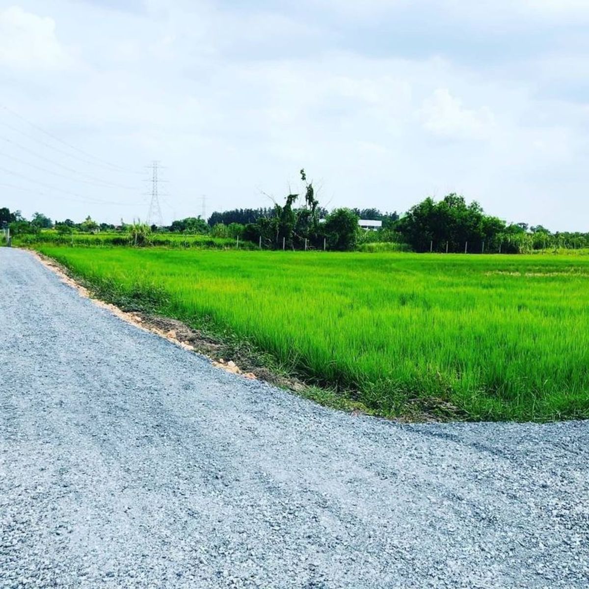 ขายที่ดินหนองจอก มิตรไมตรีซอย 6 ติดกับบ้านทรงนอร์ดิก เหมาะสร้างบ้าน