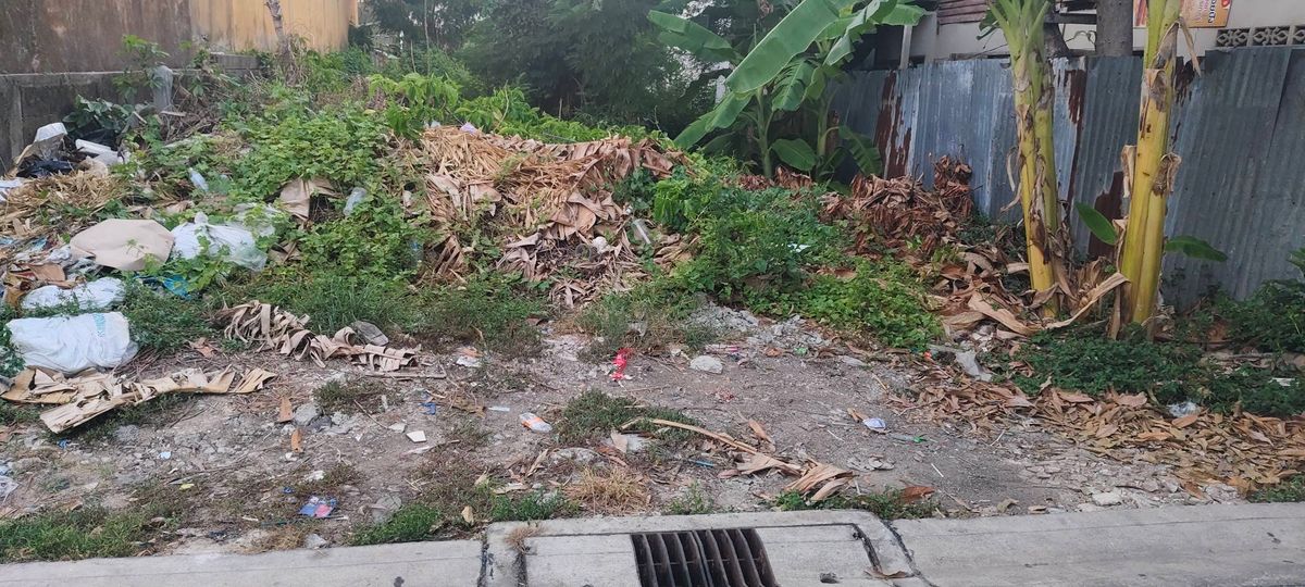 ขายที่ดินกำนันแม้น 13 แยก 8 – รูปที่ 4