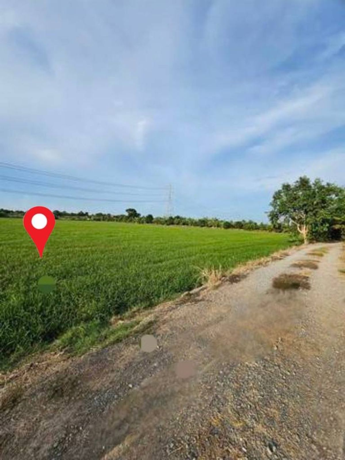 ขาย ที่ดินสวยราคาถูก เนื้อที่ดิน 5 ไร่ ติดถนนสาธารณะ ห่างจากทางหลวงชนบท นครปฐม 3004 เพียง 180 เมตร บางเลน นครปฐม – รูปที่ 4