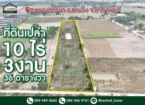 10 rai of land, 3 ngan 36 square meters, Tha Muang, Kanchanaburi, growing more than 500 teak trees