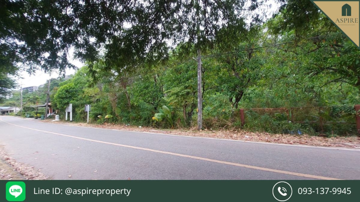 [Selling] Land of Por Phuket 8 Rai 238 sq.w. – รูปที่ 3