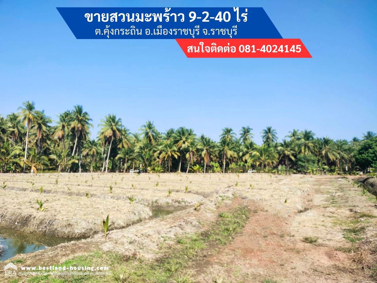 ขายสวนมะพร้าวน้ำหอม 9 ไร่ 2 งาน ต.คุ้งกระถิน อ.เมืองราชบุรี จ.ราชบุรี ขายสวนมะพร้าวน้ำหอมพันธุ์บ้านแพ้ว ลงได้ 1 ปี 600 กว่าต้น ขายสวนมะพร้าวน้ำหอม 9 ไร่ 2 งาน ต.คุ้งกระถิน อ.เมืองราชบุรี จ.ราชบุรี ขายสวนมะพร้าวน้ำหอมพันธุ์บ้านแพ้ว ลงได้ 1 ปี 600 กว่าต้น