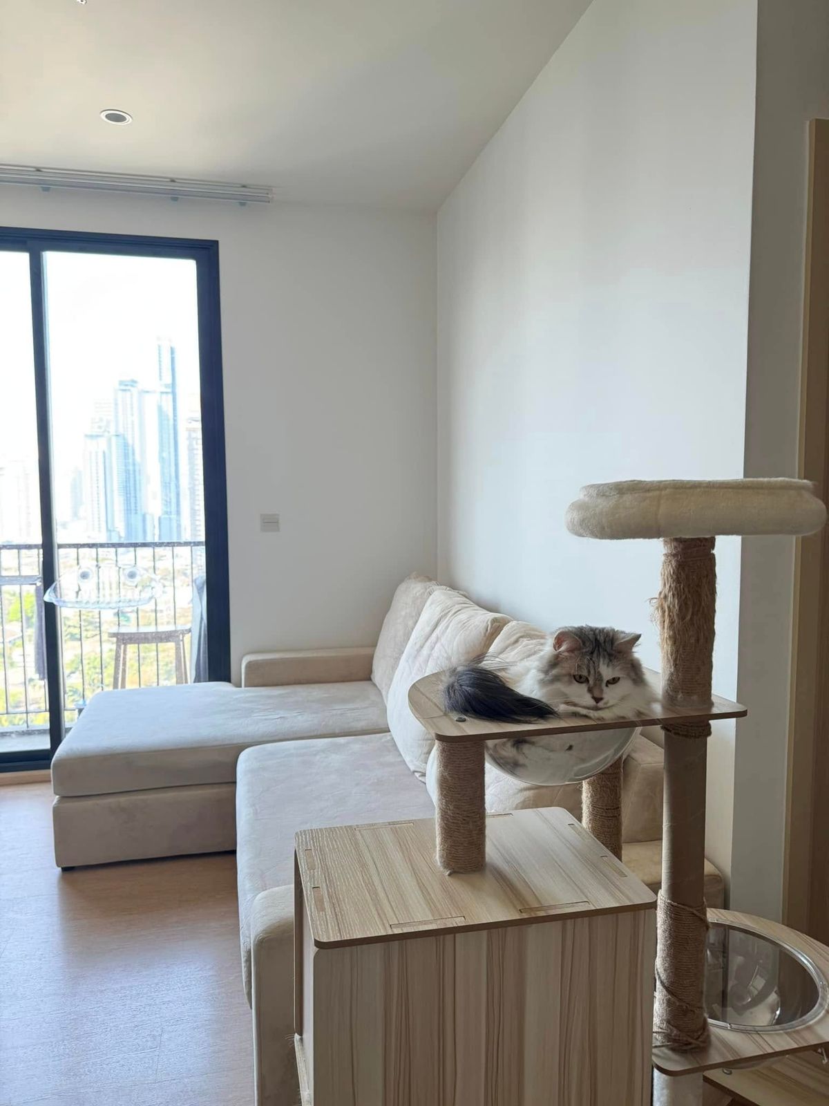 (T0068)‼ ️FOR SALE‼ ️Maru Ekkamai 2 Price 6,600,000 Baht‼ ️Pet Friendly (T0068)‼ ️FOR SALE‼ ️Maru Ekkamai 2 Price 6,600,000 Baht‼ ️Pet Friendly