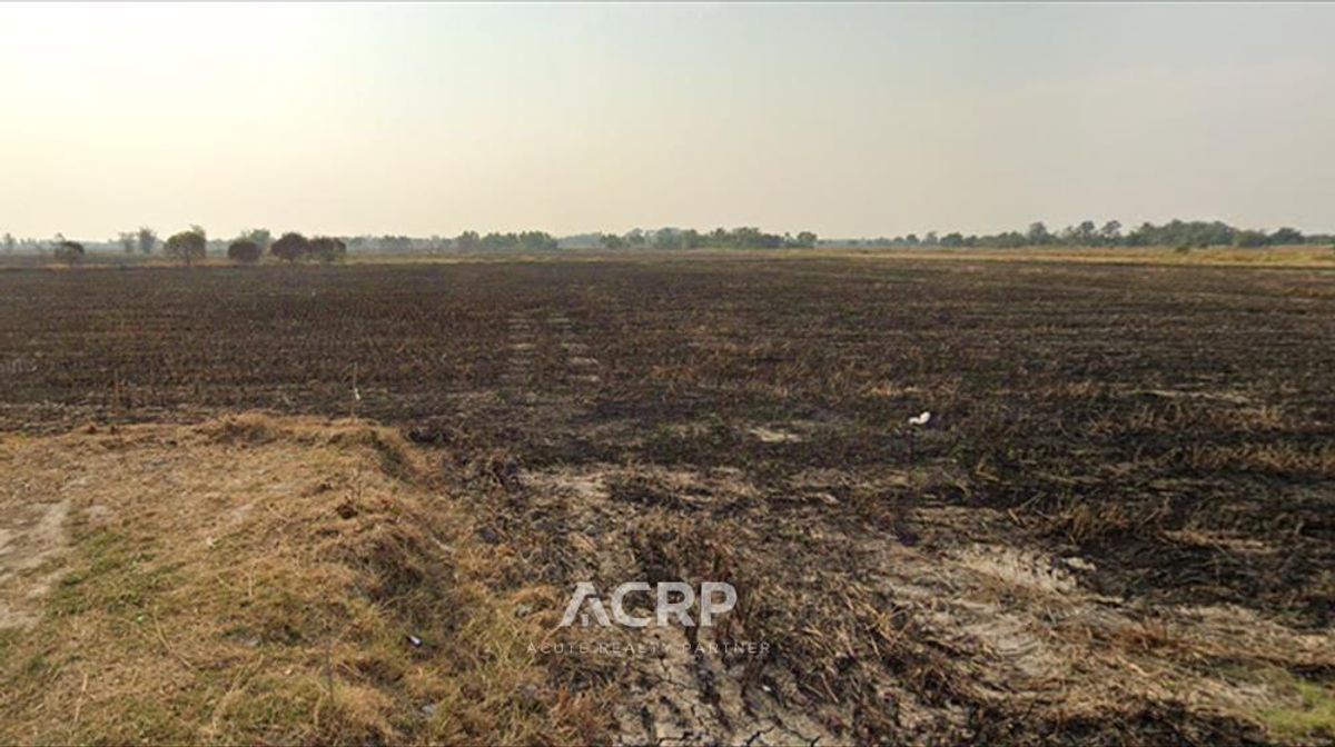 ขายที่ดินทำเลทอง! ธรรมชาติสุดสงบ เกาะหวาย นครนายก 4-0-42.2 ไร่ – รูปที่ 3