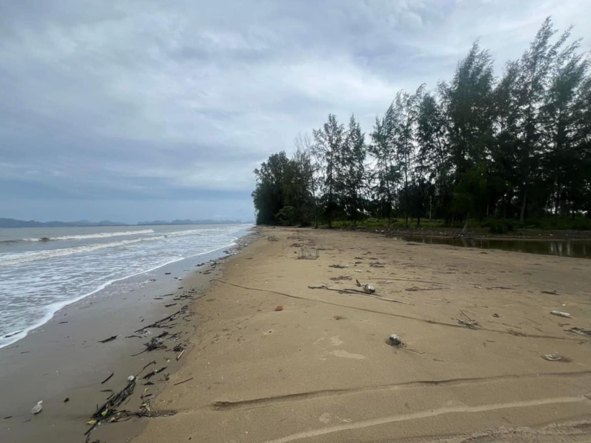 Land for sale in the sea, Taling Chan Subdistrict, Nuea Khlong District, Krabi Province, area of ​​267 rai, width of 605 meters near the sea, near many tourist attractions – รูปที่ 2