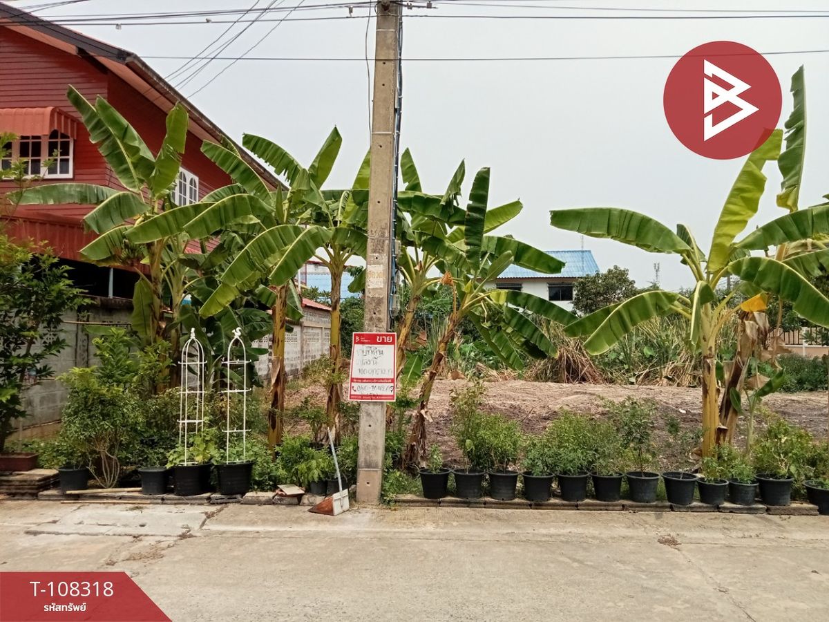 Land for sale in an area of 50 square wah, Sakae Krang Uthai Thani Land for sale in an area of 50 square wah, Sakae Krang Uthai Thani