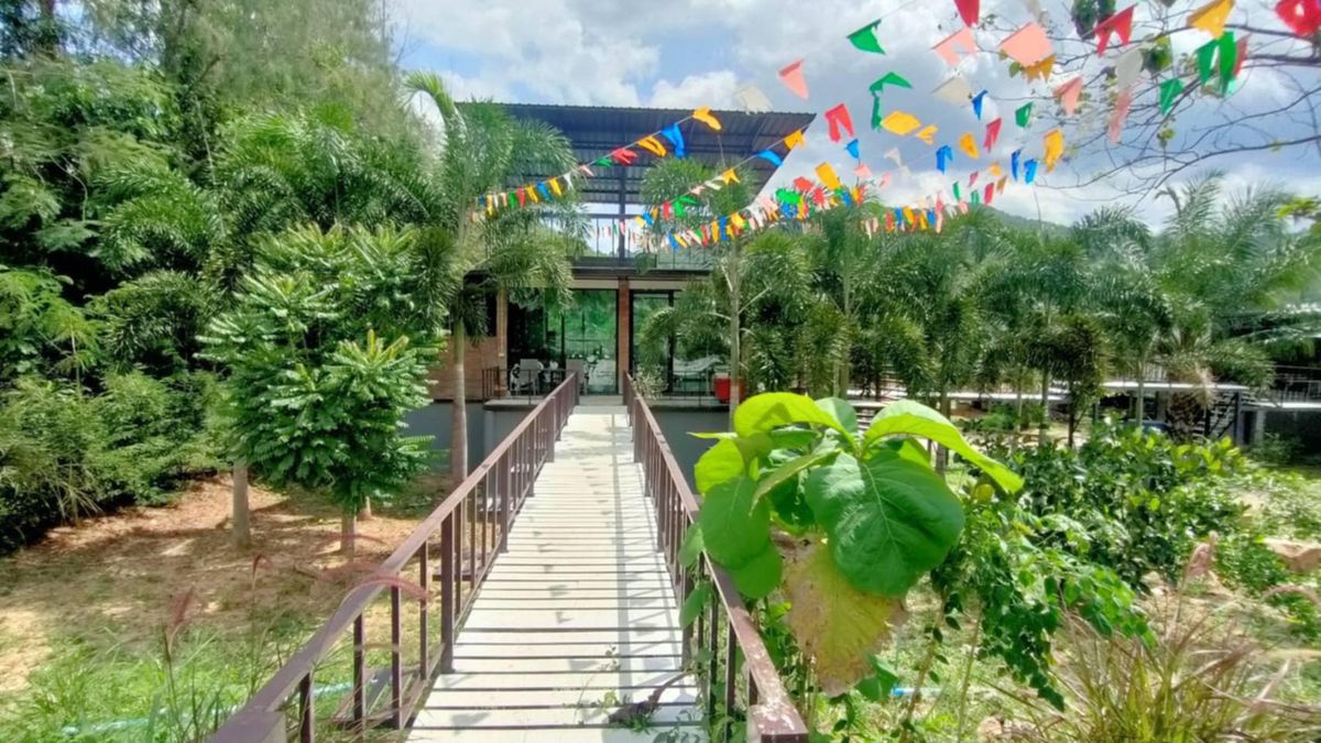 ขายที่ดิน กิจการร้านกาแฟ + สวนปาล์ม ต.หนองพลับ อ.หัวหิน จ. ประจวบคีรีขันธ์ บนเนื้อที่ 11-0-23 ไร่ เหมาะทำการค้า ร้านอาหาร รีสอร์ท ร้านกาแฟ – รูปที่ 3