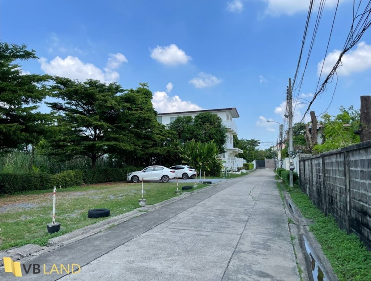 ขายที่ดินแปลงสวยหาที่ไหนไม่ได้อีกแล้ว  ซอยลาดพร้าว 41 (ซอยภาวนา) – รูปที่ 3