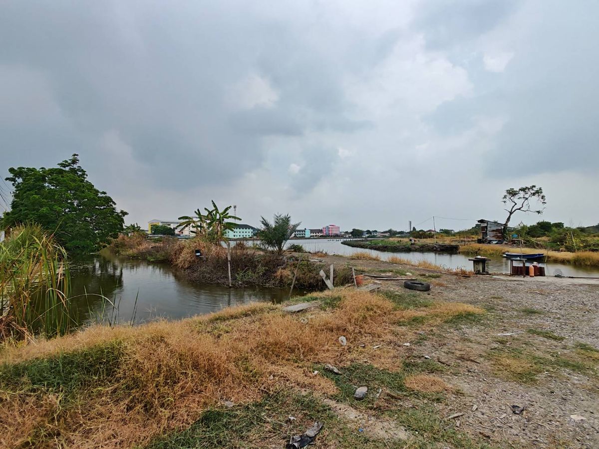 ที่ดินแปลงใหญ่ ใกล้ถนนบางนา-ตราด เพียง 300 เมตรเดินทางสะดวกใกล้ทางพิเศษบูรพาวิถี