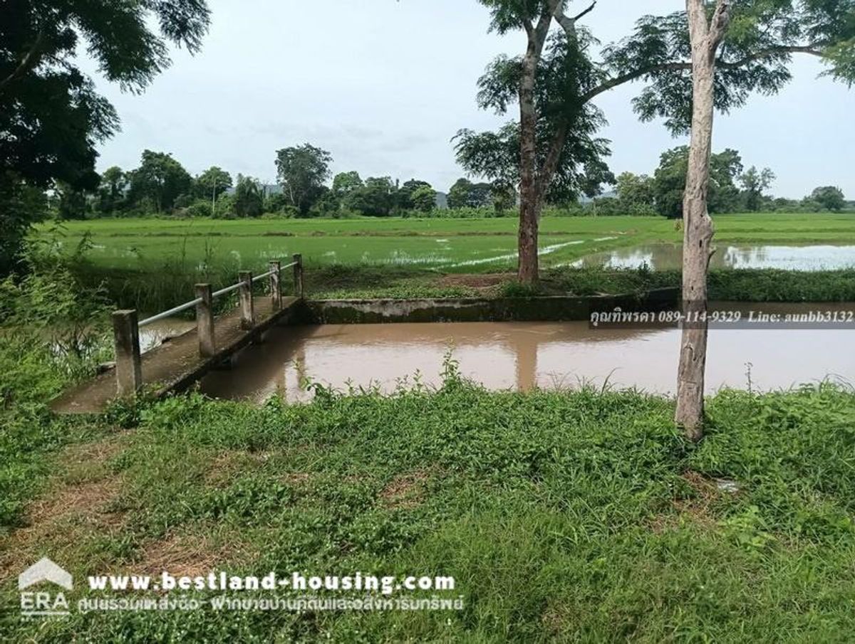 Land for sale 21 rai 3 ngan 0.5 sq.w. suitable for a resort! Kaeng Khoi Saraburi – รูปที่ 3