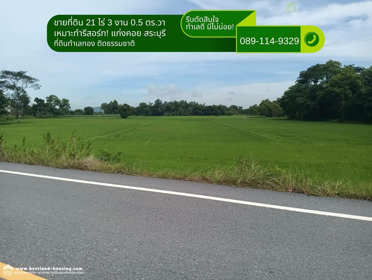 ขายที่ดิน 21 ไร่ 3 งาน 0.5 ตร.วา เหมาะทำรีสอร์ท! แก่งคอย สระบุรี