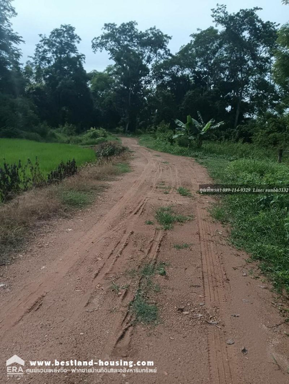 Land for sale 21 rai 3 ngan 0.5 sq.w. suitable for a resort! Kaeng Khoi Saraburi – รูปที่ 4