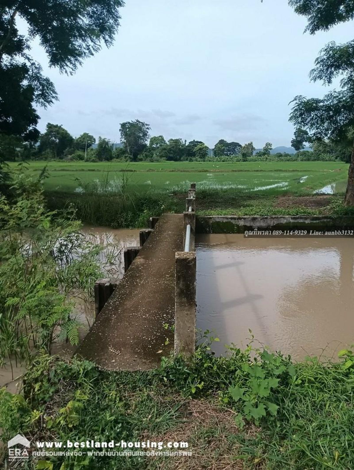 Land for sale 21 rai 3 ngan 0.5 sq.w. suitable for a resort! Kaeng Khoi Saraburi – รูปที่ 2