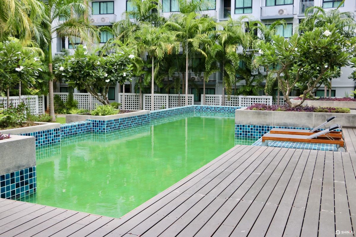 Stage Sisa Sriracha Sriracha Price Price of 79,000/Sqm. All free. Free cost. Free, free, free furniture, 3 years, starting 79,000/sqm.