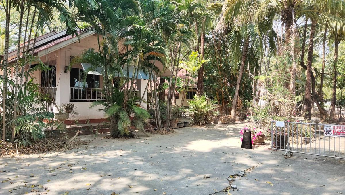 Land for sale, good location with buildings Near shopping and hospitals in Chiang Mai The best location that should not be missed! – รูปที่ 2
