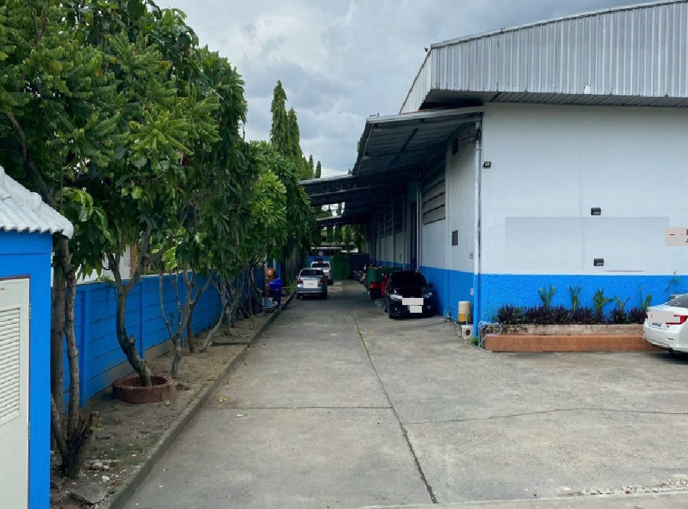 For Rent ให้เช่าโกดังพร้อมสำนักงาน โกดังขนาดใหญ่ / พื้นที่ดิน 2 ไร่ 3 งาน / พื้นที่ใช้สอย 1467 ตารางเมตร / ทำเล ไทรม้า รัตนาธิเบศร์ / ซอยไทรม้า / เหมาะหลากหลายธุรกิจ / รถใหญ่ เข้าออกได้ – รูปที่ 3