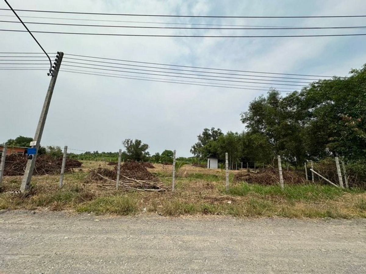 ขายที่ดิน ถมแล้ว ต.หนองสามวัง อ.หนองเสือ ปทุมธานี ใกล้วัดป่าคลอง 15