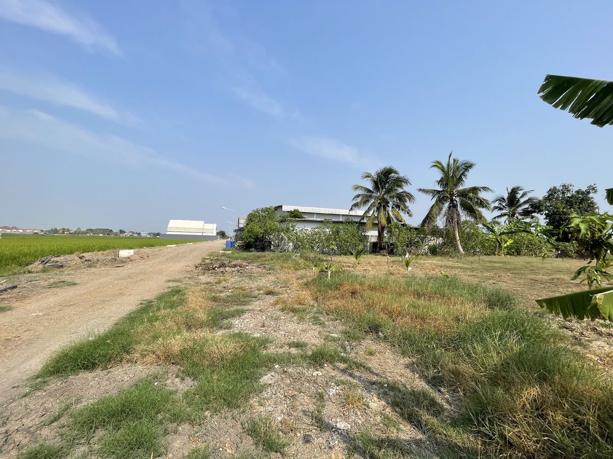 ขายที่ดิน ลำลูกกาคลอง 5 ติดถนนใหญ่ ใกล้มอเตอร์เวย์ แบ่งขายได้ – รูปที่ 4