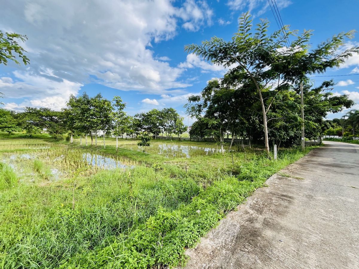 Land for sale in Chiang Rai, good location, not flooding in the community area near Mae Fah Luang Medical Center Mae Fah Luang University – รูปที่ 4