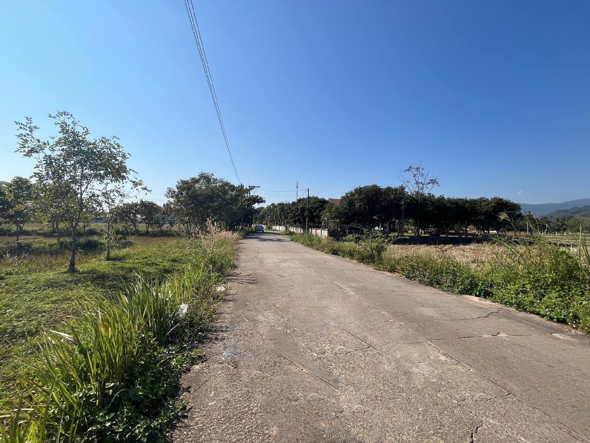 Land for sale in Chiang Rai, good location, not flooding in the community area near Mae Fah Luang Medical Center Mae Fah Luang University – รูปที่ 2