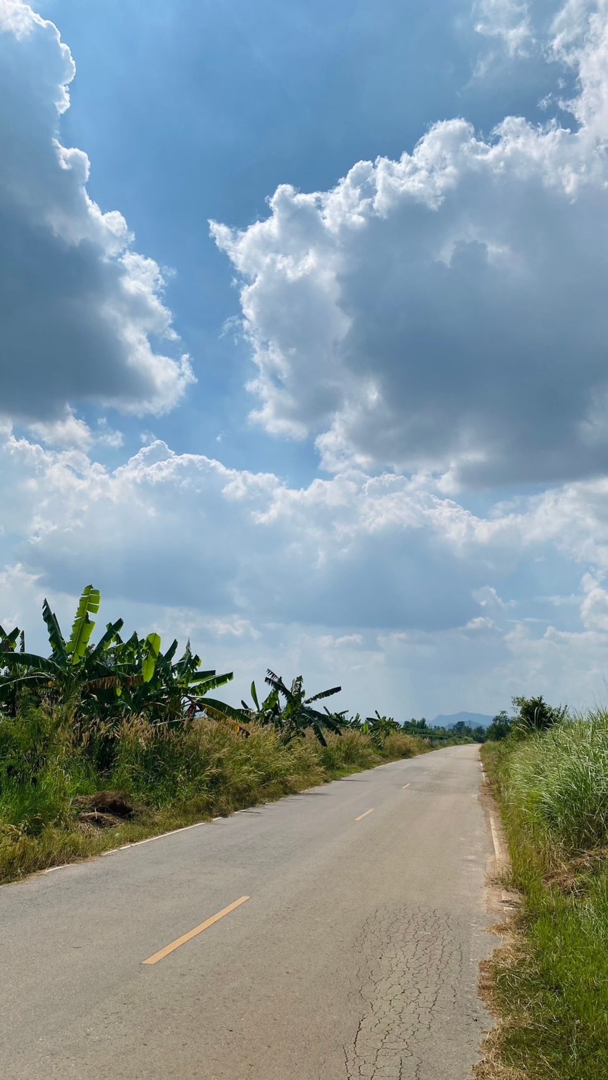 ขาย ที่ดินชะอำ 4 ไร่ 1 งาน 62 ตร.ว.  ไร่ใหม่พัฒนา  