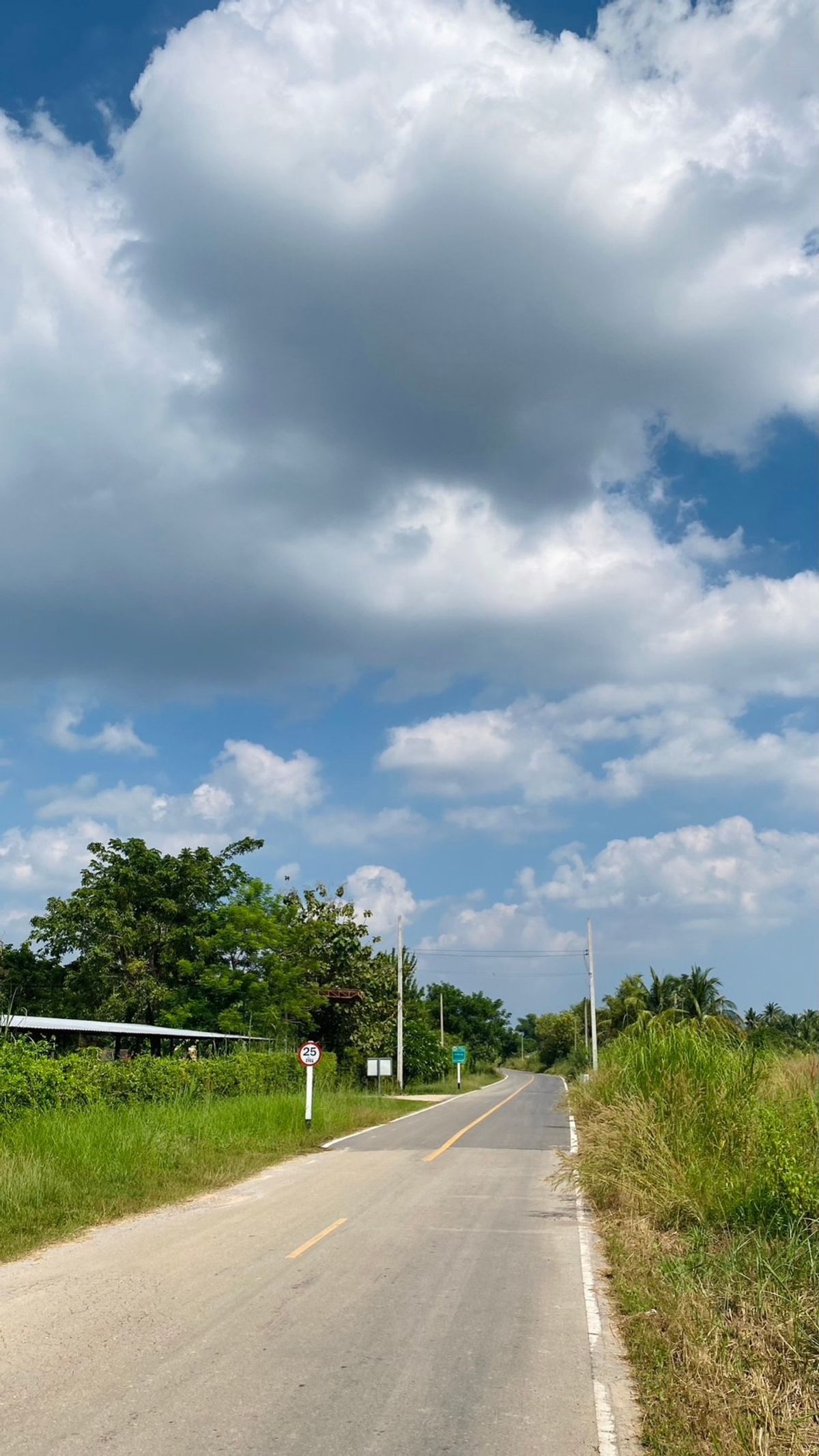 Land for sale in Cha -am 4 Rai 1 ngan 62 sq.w. Rai Mai Pattana – รูปที่ 4