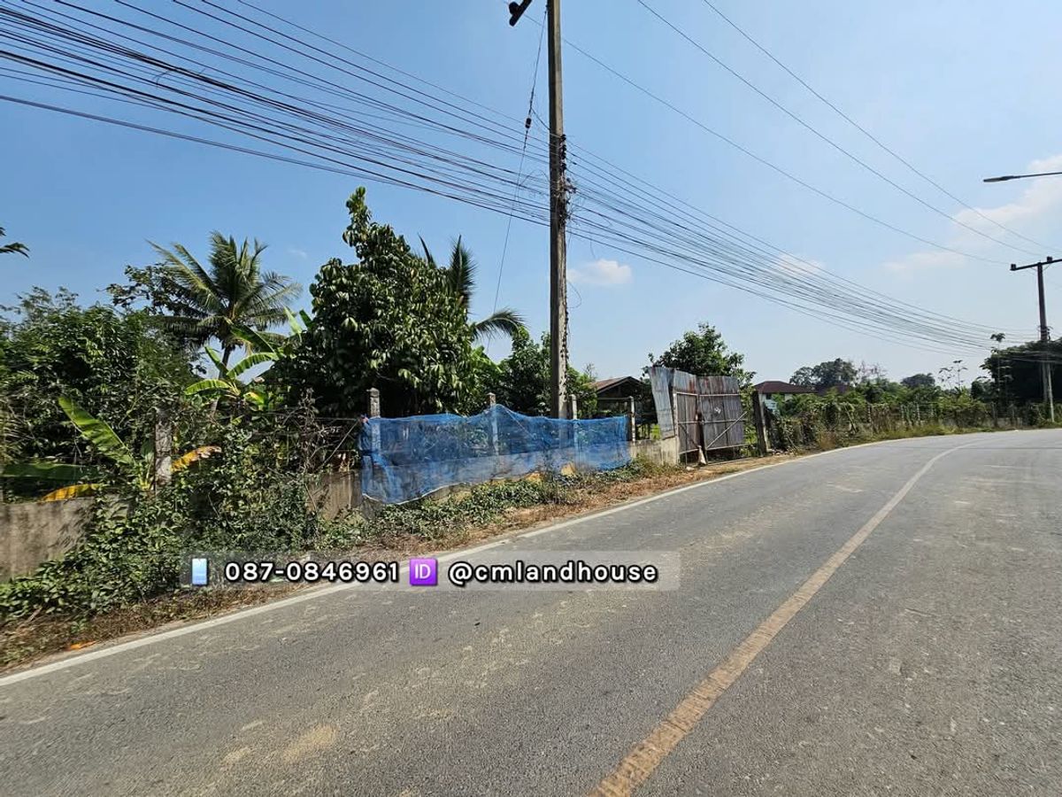 บ้านสวน ที่ดิน เกือบ 6 ไร่ ใกล้เซ็นทรัลเฟสติวัล 9 กม. อ.สันทราย เชียงใหม่ ติดถนนสายหลัก ในชุมชน ค้าขาย ทำธุรกิจ สร้างบ้านจัดสรร สร้างพูลวิลล่าได้ – รูปที่ 2