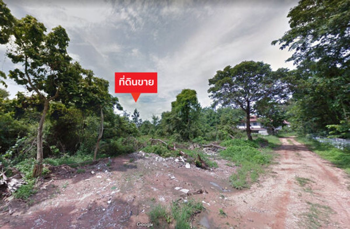 ขายที่ดิน 11 ไร่ 0 งาน 88.7 ตร.ว. ติดถนนศรีจันทร์ (ติด ม.บ พัชรี-บึงหนองโครต) – รูปที่ 4