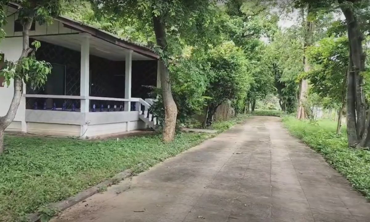 Land for sale in the house, 4 row rooms, tattoo room, area of ​​3-3-89 rai, Suranarai Road, opposite the Bunsawan School, Korat Korat, near the Ring Road – รูปที่ 4