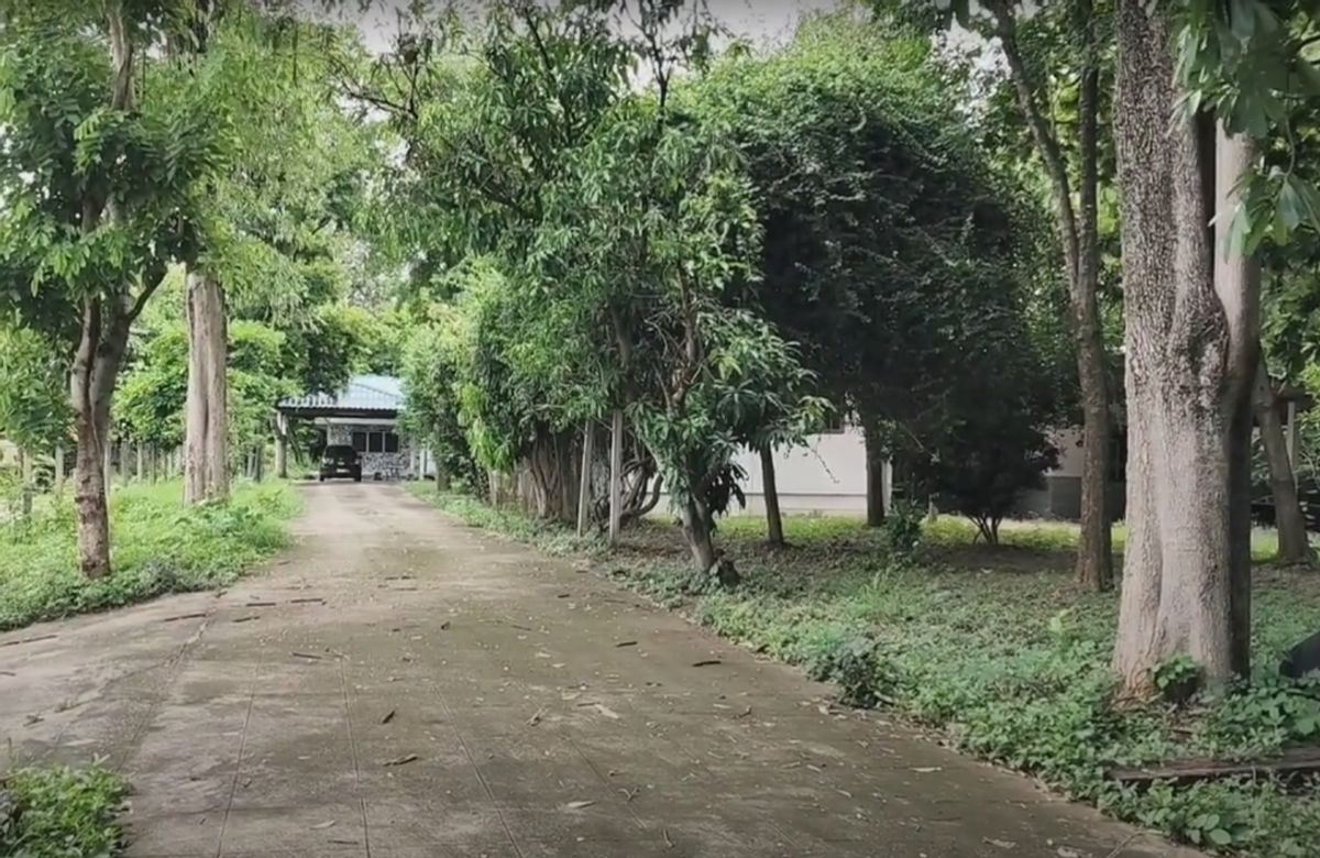 Land for sale in the house, 4 row rooms, tattoo room, area of ​​3-3-89 rai, Suranarai Road, opposite the Bunsawan School, Korat Korat, near the Ring Road – รูปที่ 3