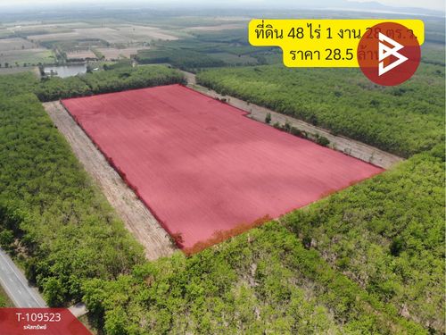 Land for sale in an area of ​​48 rai 1 ngan 28 sq.wah Sri Maha Phot, Prachinburi