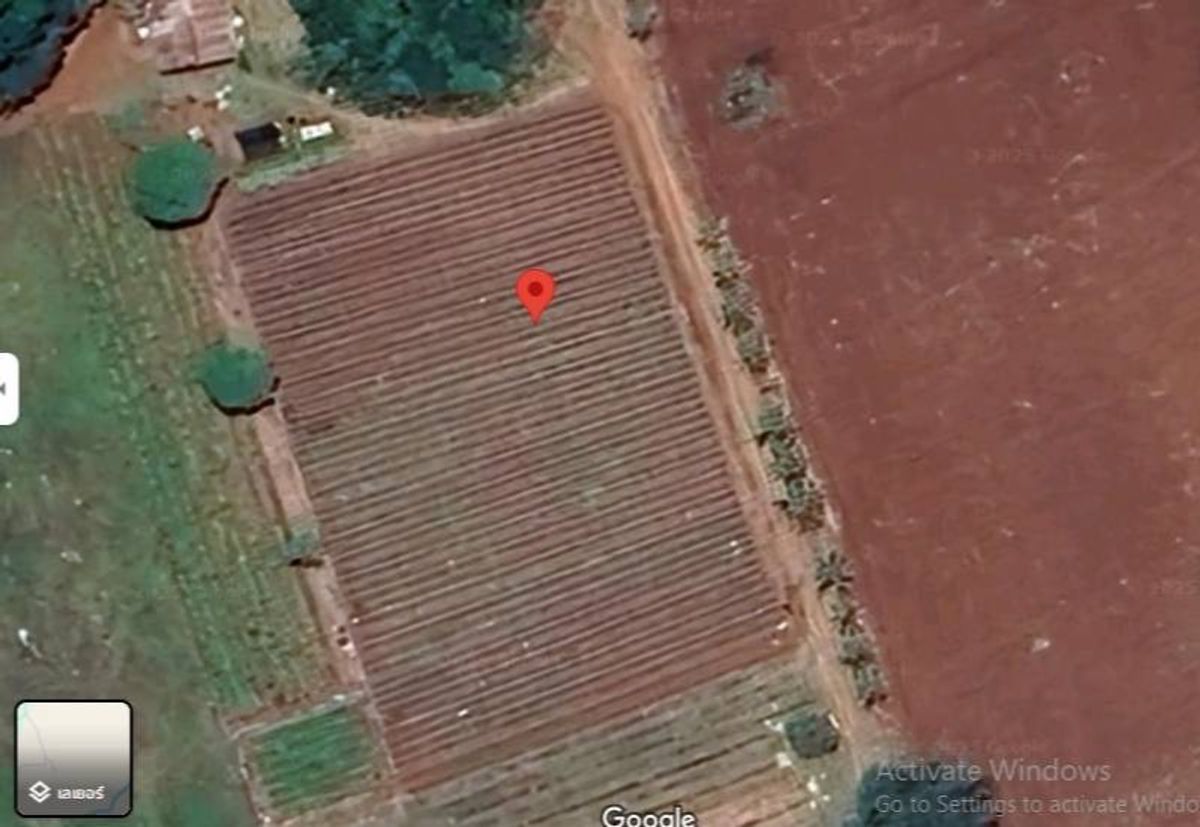 Urgent sale, beautiful plots, Pak Chong, 200 square wah, hills, Khao Yai, with a germination of 116 Sq. Pu Si Subdistrict, Pak Chong District, Nakhon Ratchasima Province – รูปที่ 2