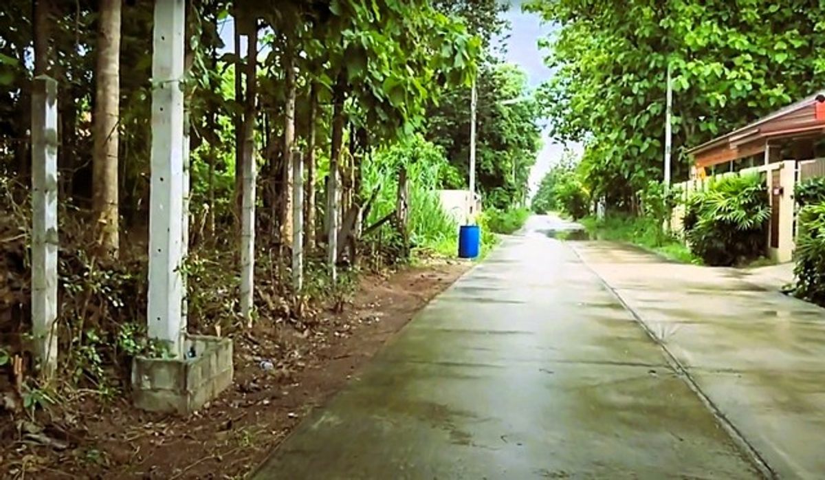 Selling empty land with a teak tree of 160 square wah, Soi Wat Chitrueng, opposite Boon Luo School, Suranarai Road, Khok Sung Korat   – รูปที่ 3