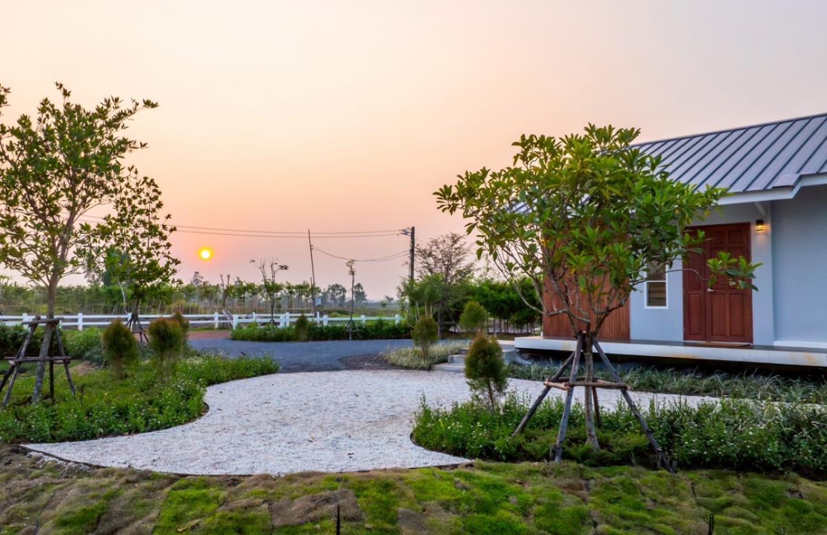 Garden Garden