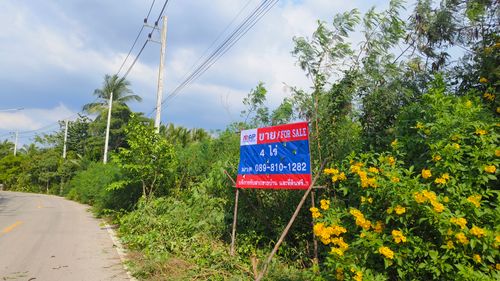 Urgent sale of land next to the river near Bangkok