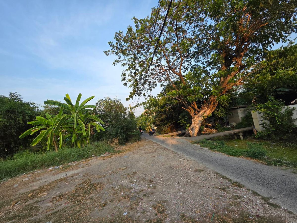 Land for sale in Soi Wat Ko, Soi Phahonyothin 54/1, Intersection 6-5, increased from Wat Ko 300, 11,000/sq. Sai, Sai Mai, Bangkok. – รูปที่ 3