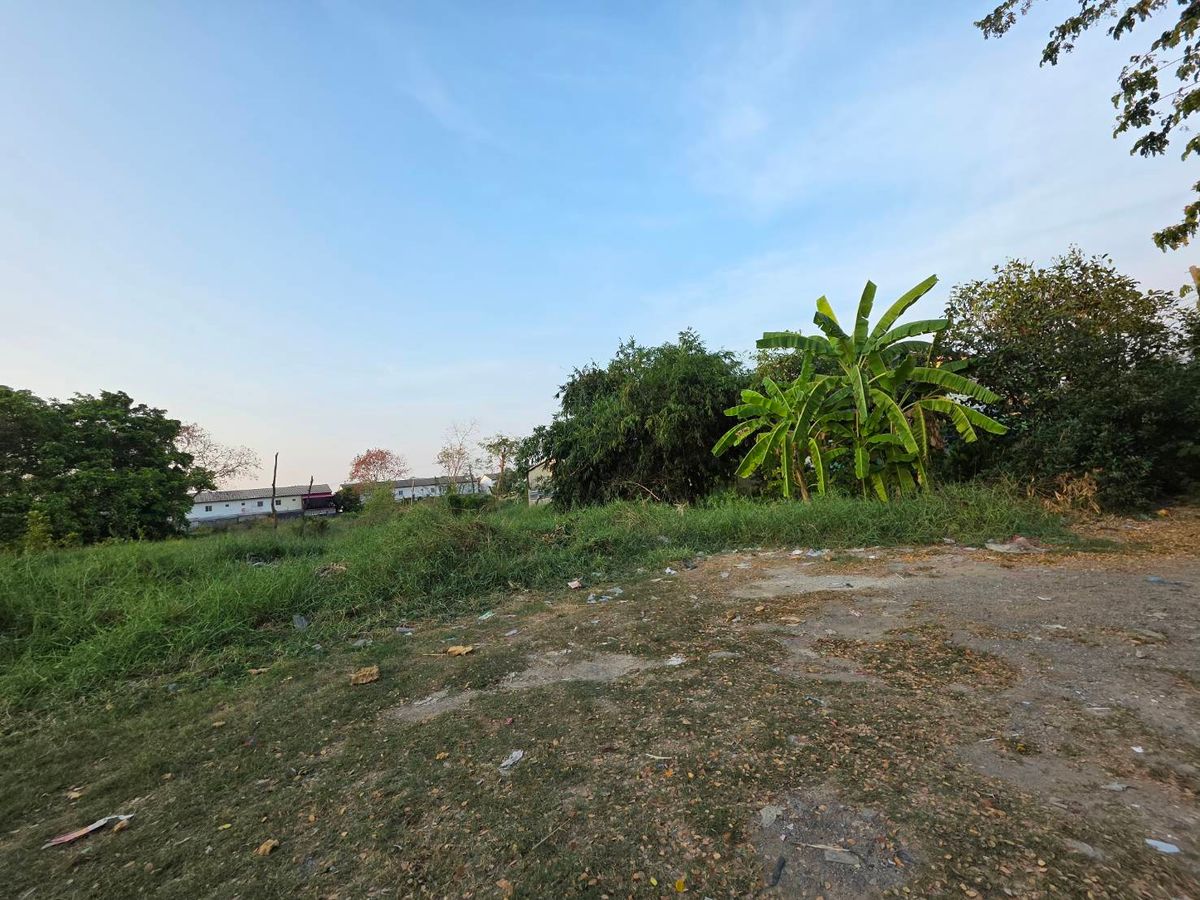 Land for sale in Soi Wat Ko, Soi Phahonyothin 54/1, Intersection 6-5, increased from Wat Ko 300, 11,000/sq. Sai, Sai Mai, Bangkok. – รูปที่ 2