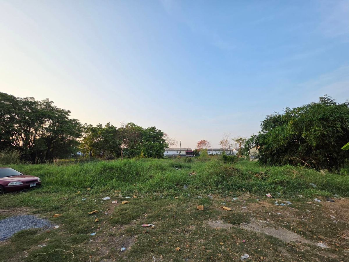 Land for sale in Soi Wat Ko, Soi Phahonyothin 54/1, Intersection 6-5, increased from Wat Ko 300, 11,000/sq. Sai, Sai Mai, Bangkok. Land for sale in Soi Wat Ko, Soi Phahonyothin 54/1, Intersection 6-5, increased from Wat Ko 300, 11,000/sq. Sai, Sai Mai, Bangkok.