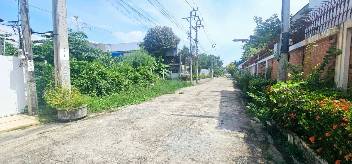 ขายถูก ที่ดิน 184 ตรว.พุทธมณฑลสาย1ตลิ่งชัน กทม – รูปที่ 3